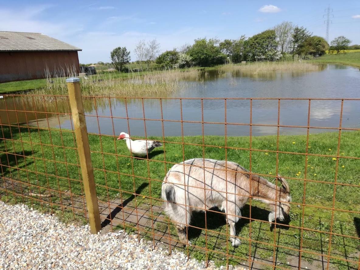 Rosengård Friland Ferielejlighed Og B&B Bramming Eksteriør bilde
